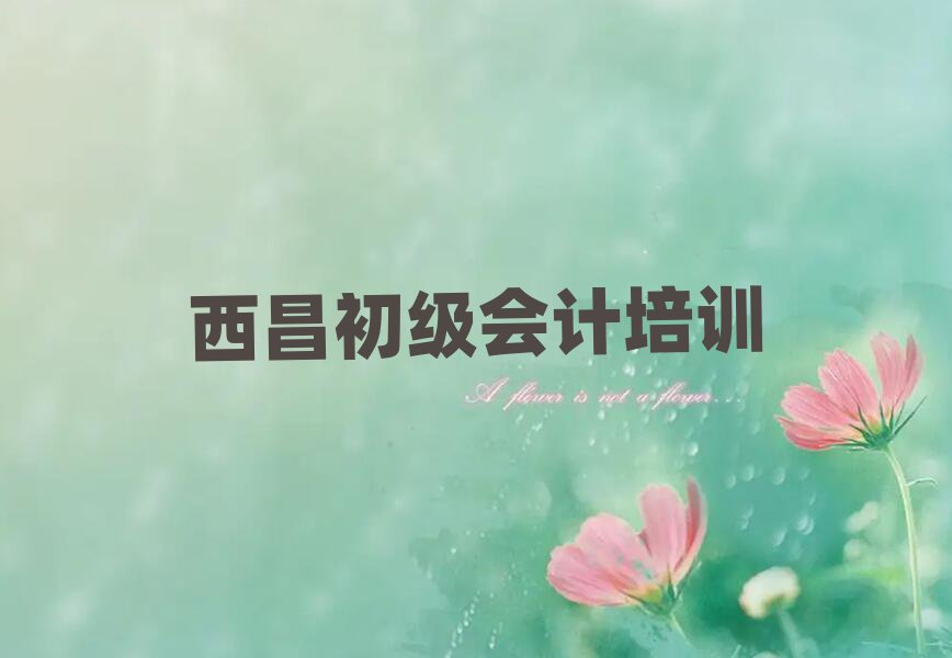 西昌学初级会计的学校十大排行