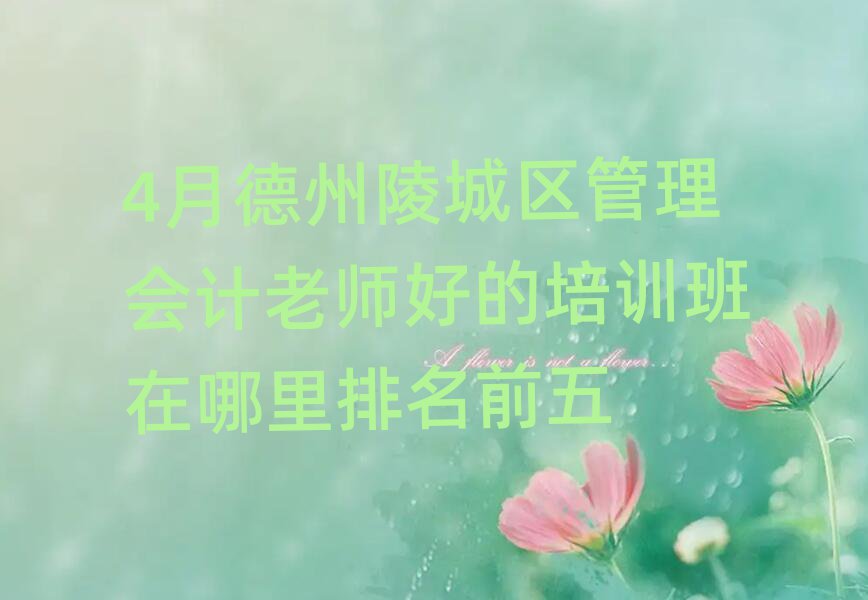 4月德州陵城区管理会计老师好的培训班在哪里排名前五