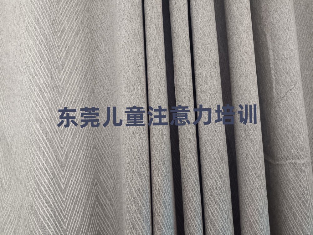 2025年东莞孩子记忆力培训学费一般多少排名前十