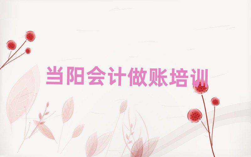 当阳学会计做账学费一般是多少钱