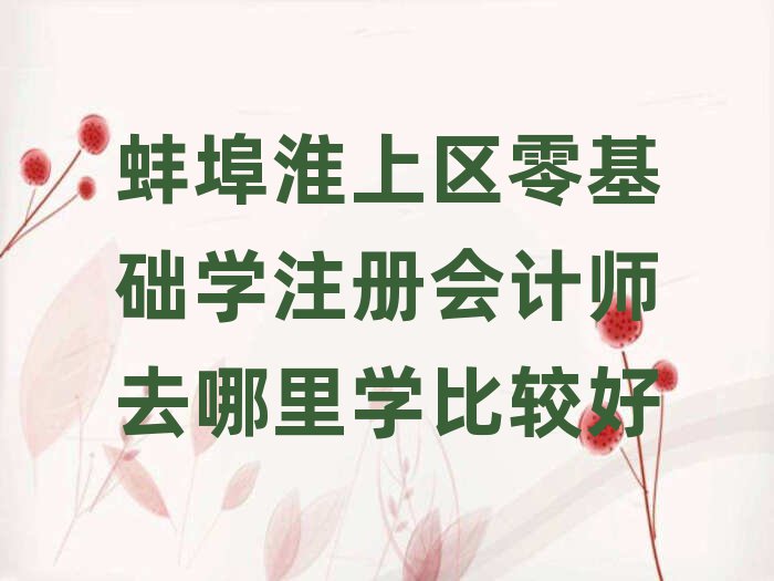 蚌埠淮上区零基础学注册会计师去哪里学比较好