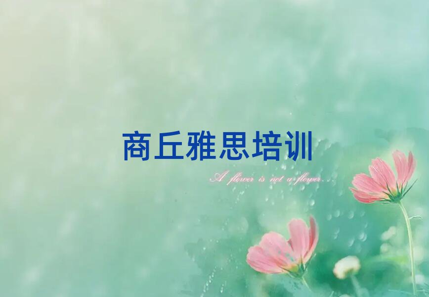 商丘睢阳区快速雅思培训班哪家好