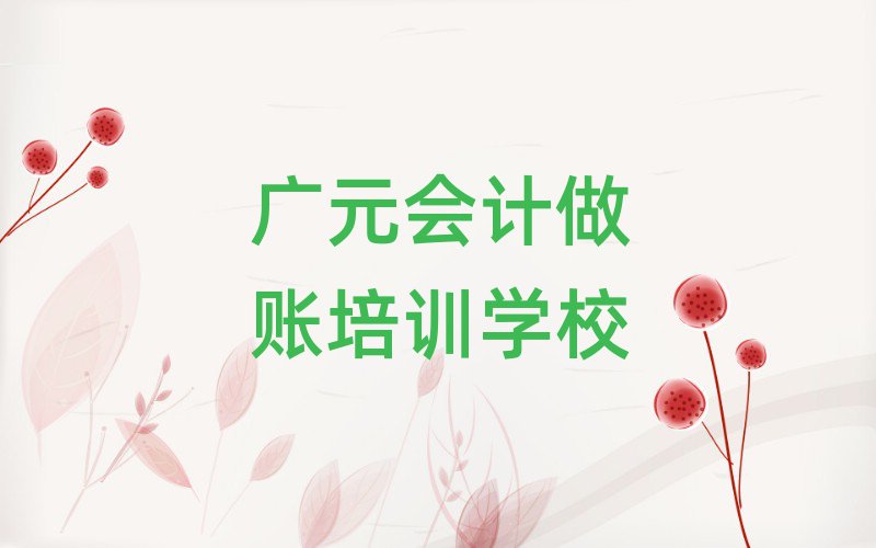 广元朝天区会计做账班报名一般多少钱