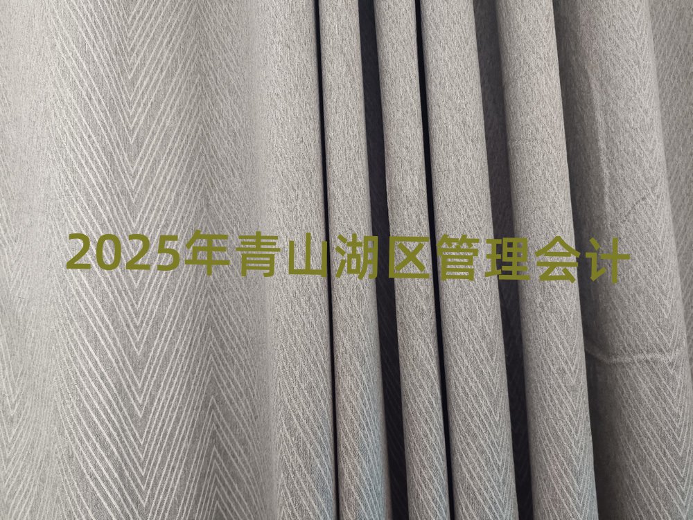 2025年青山湖区管理会计