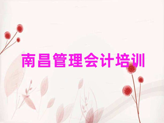 2025年青山湖区管理会计
