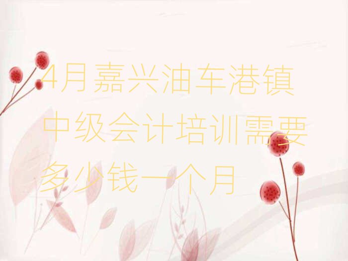 4月嘉兴油车港镇中级会计培训需要多少钱一个月