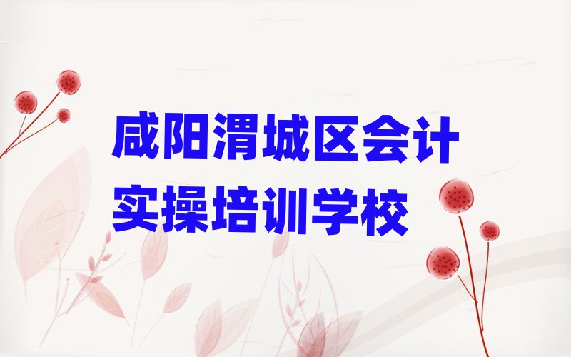 2025咸阳渭城区在哪里学会计实操排名榜