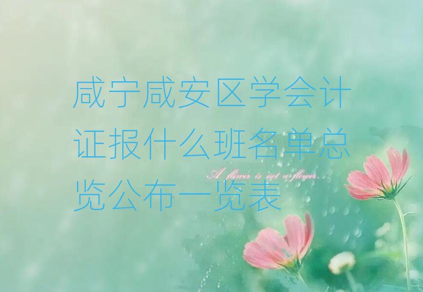 咸宁咸安区学会计证报什么班名单总览公布一览表