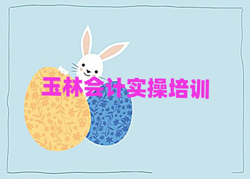 玉林会计实操哪家好点
