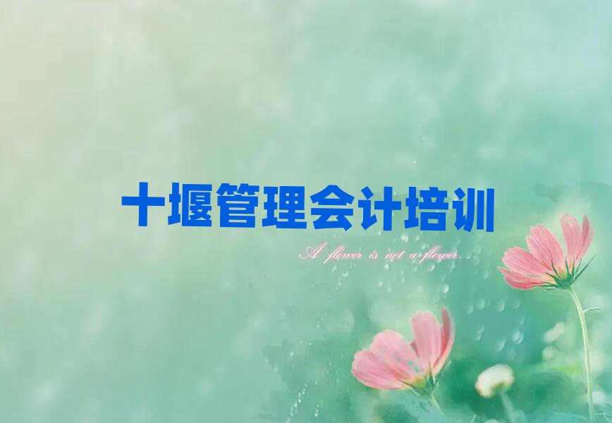5月十堰茅箭区比较正规的管理会计学校有哪些