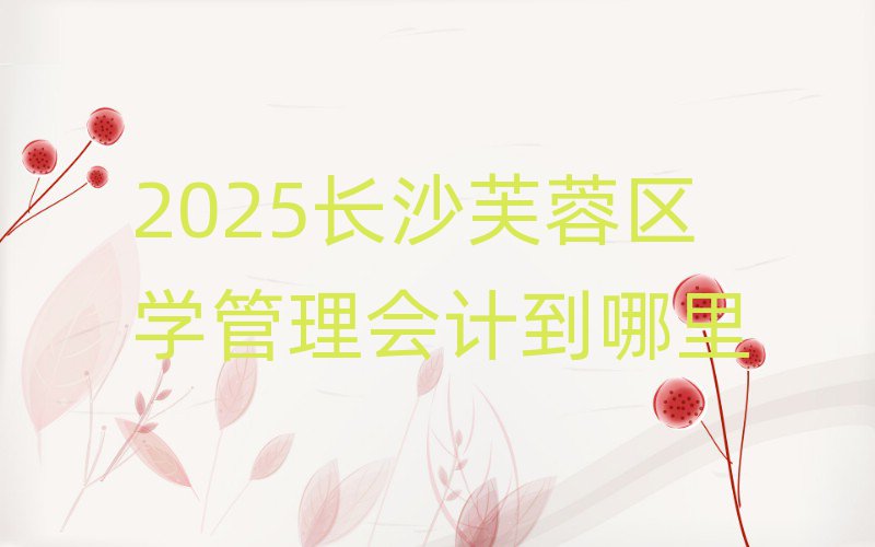 2025长沙芙蓉区学管理会计到哪里