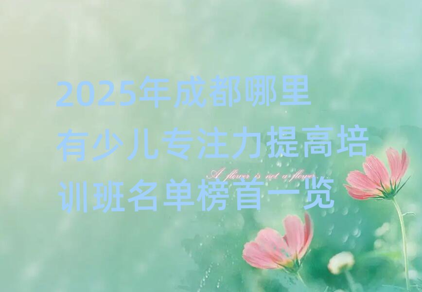 2025年成都哪里有少儿专注力提高培训班名单榜首一览