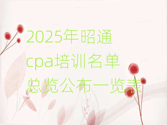 2025ͨcpaѵһ