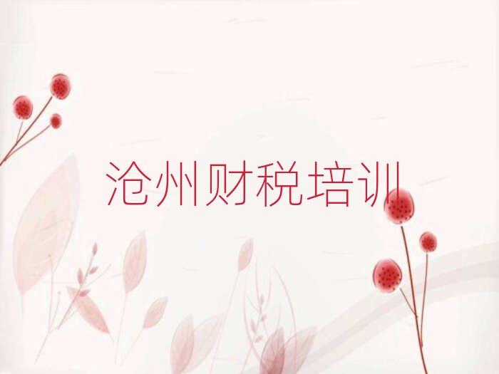 2025年沧州新华区财税好的财税培训课