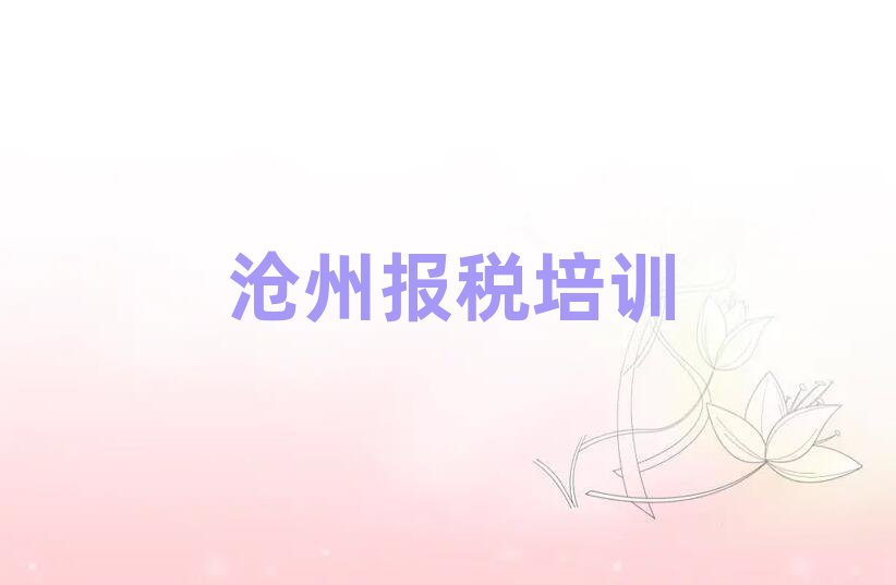 2025年沧州新华区财税好的财税培训课