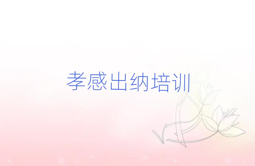2025年孝感孝南区出纳培训课程多少钱