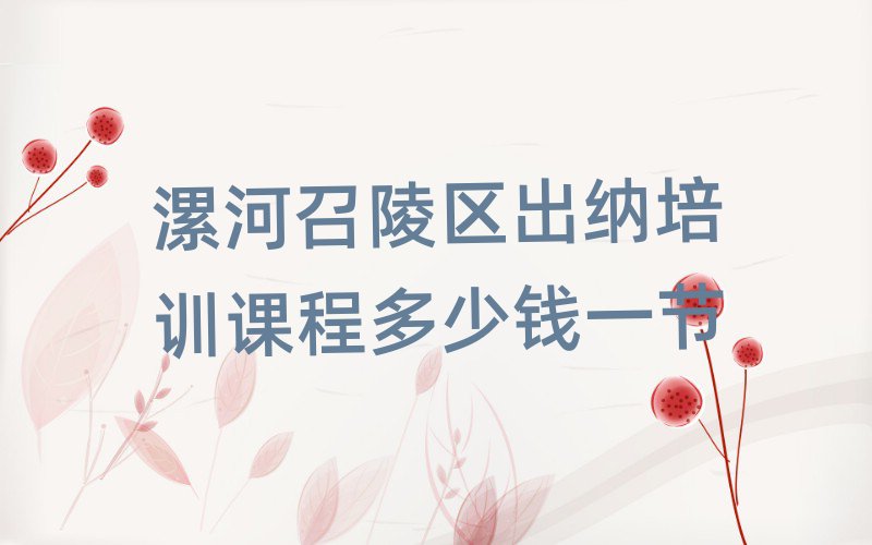 漯河召陵区出纳培训课程多少钱一节