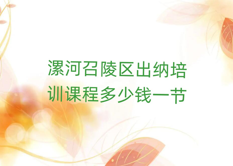 漯河召陵区出纳培训课程多少钱一节
