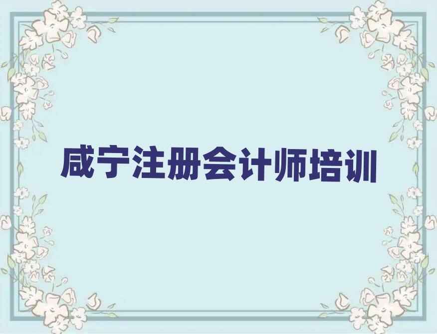 咸宁咸安区注册会计师网上培训十大排行