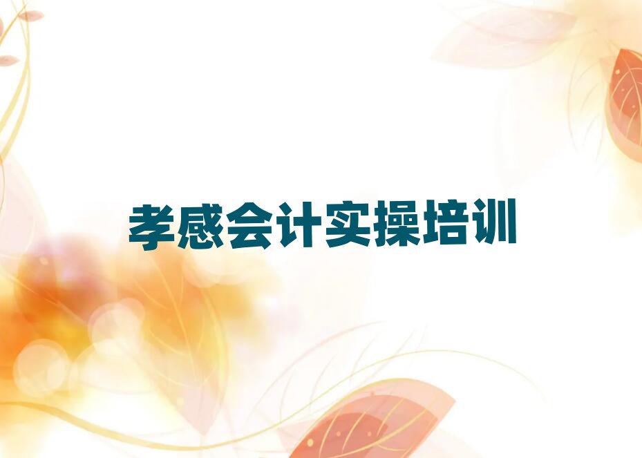 孝感会计做账哪里有培训班名单更新汇总