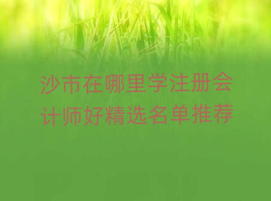 沙市在哪里学注册会计师好精选名单推荐