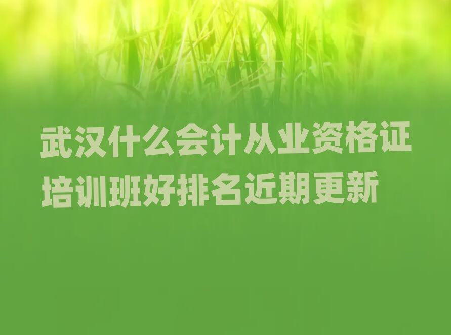 武汉什么会计从业资格证培训班好排名近期更新