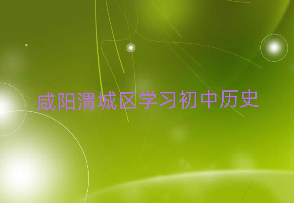 咸阳渭城区学习初中历史