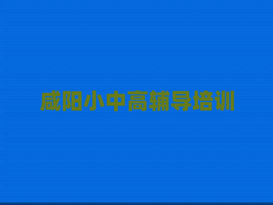 咸阳渭城区学习初中历史