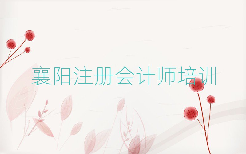 2025襄阳去哪学注册会计师top排行榜
