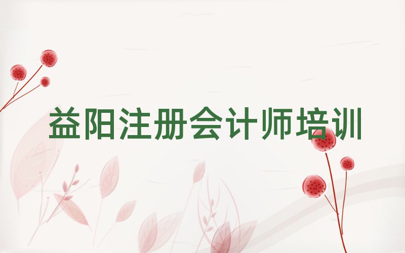 2025年益阳注册会计师培训班的收费标准排名