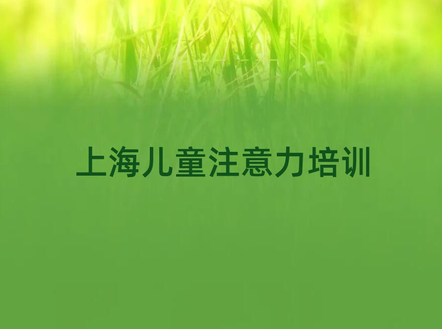 2025上海哪里能学少儿注意力训练名单榜首重磅公布