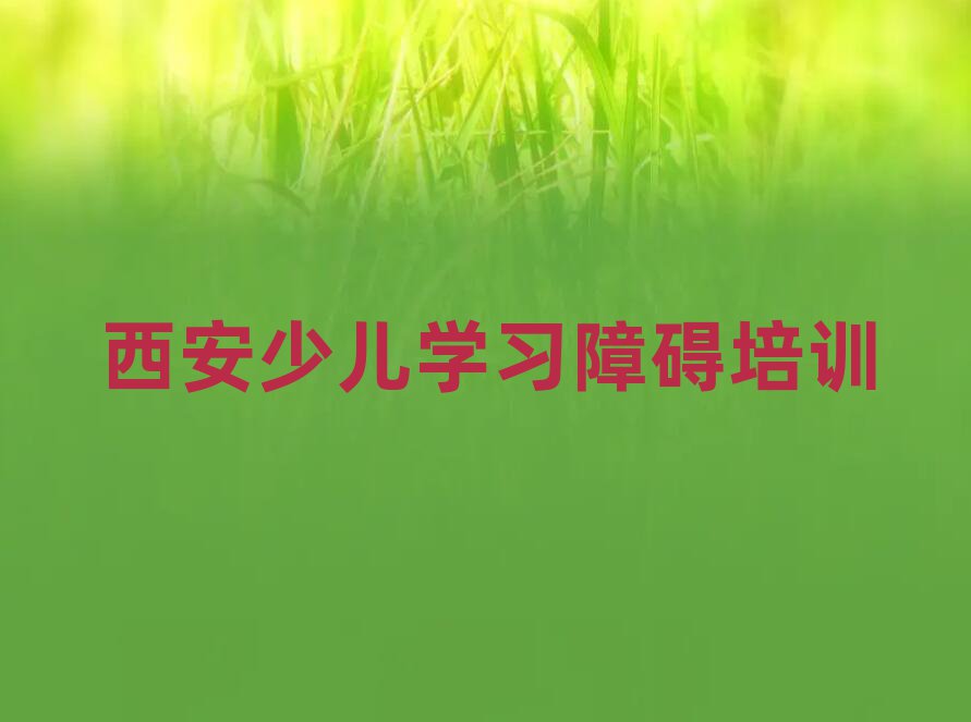 Î÷°²Î´ÑëÇøÉÙ¶ùѧϰÕϰÅàѵ°àÔõôѡÔñ¿Î³Ì