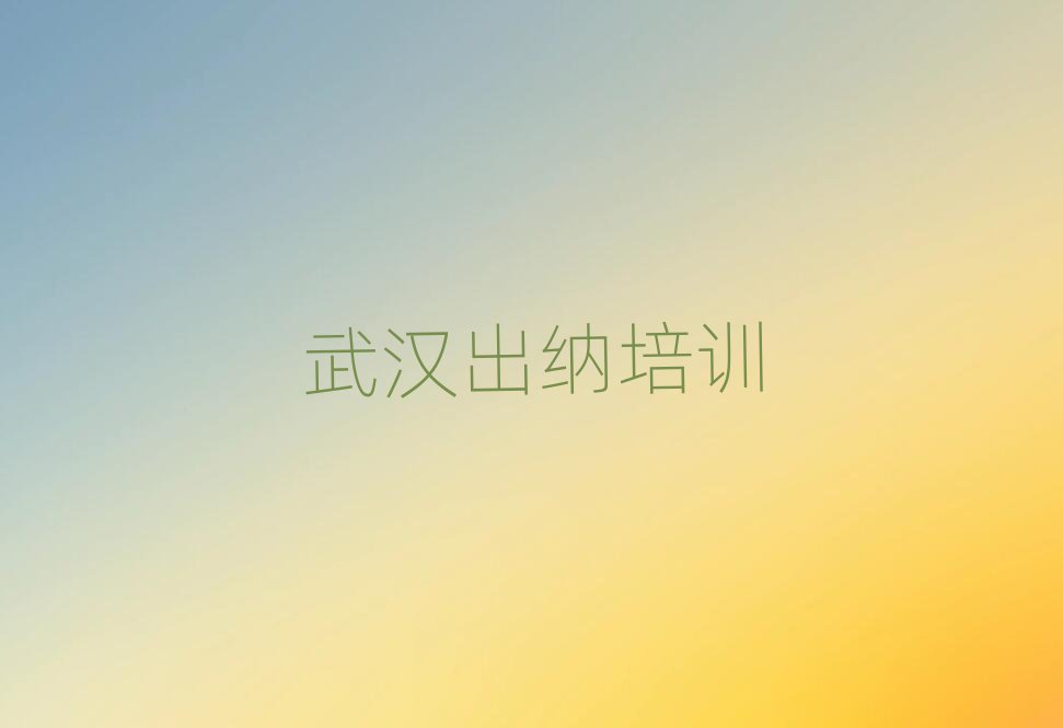 武汉出纳网络教学