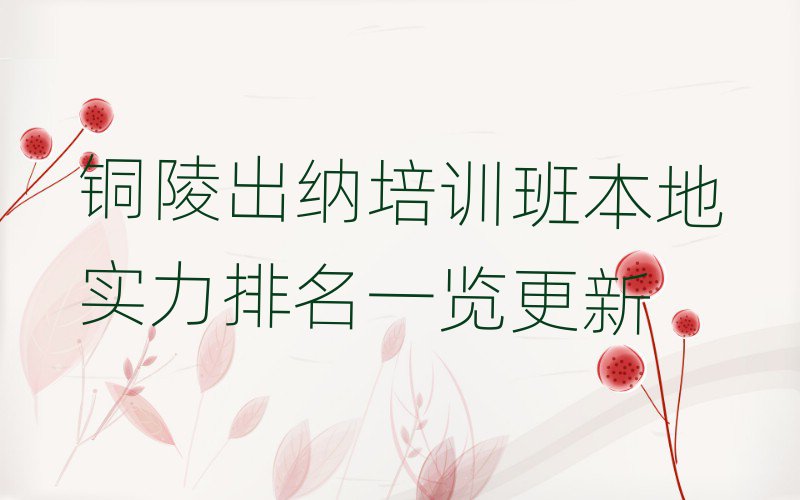 铜陵出纳培训班本地实力排名一览更新
