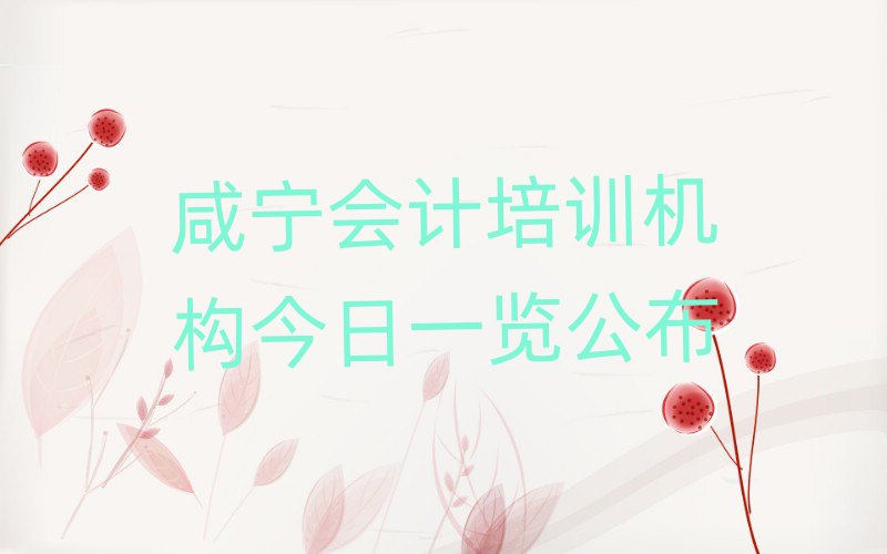 咸宁会计培训机构今日一览公布
