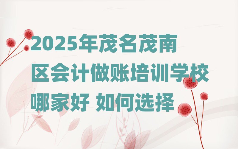 2025年茂名茂南区会计做账培训学校哪家好 如何选择