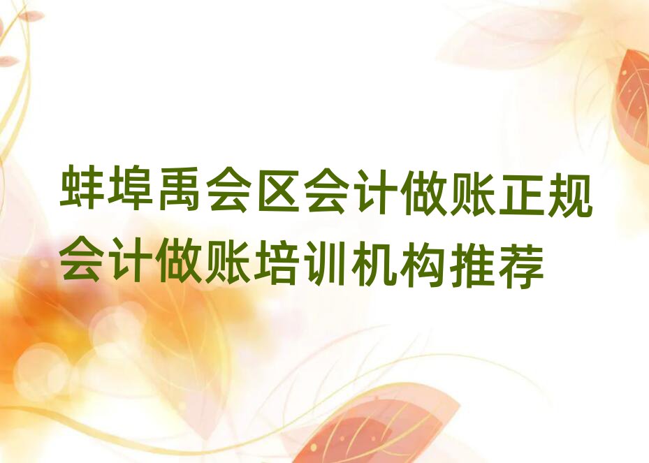 蚌埠禹会区会计做账正规会计做账培训机构推荐