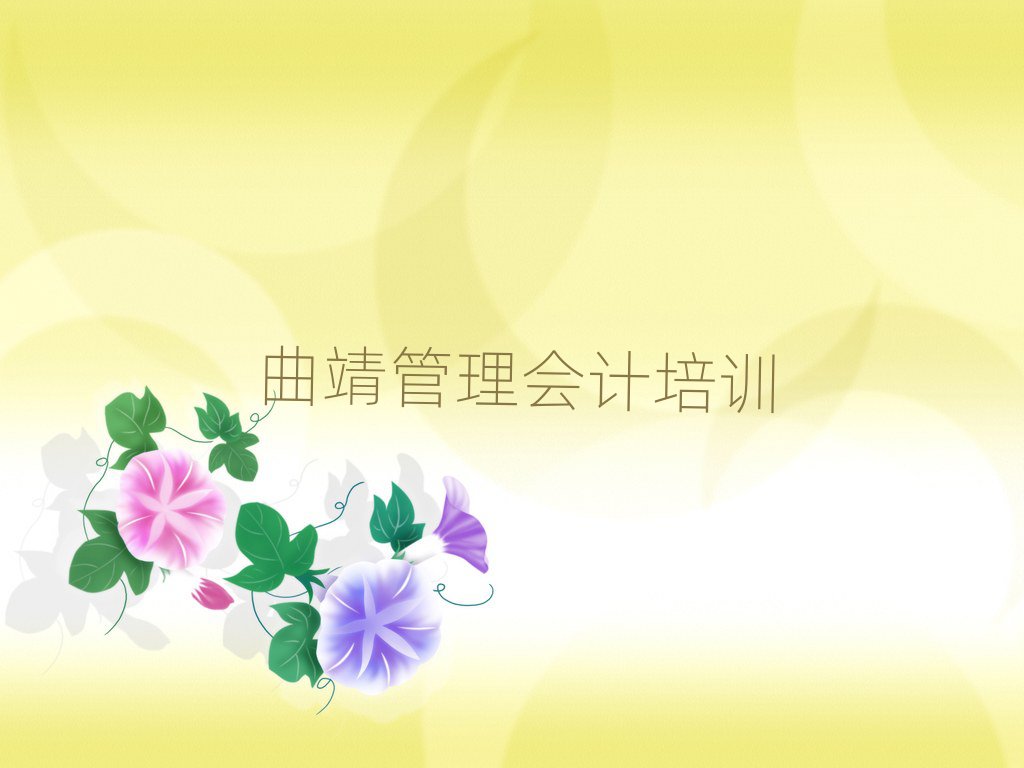 曲靖茨营镇管理会计培训机构哪个比较可靠