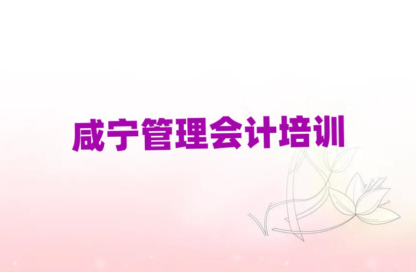 2025年咸宁咸安区管理会计培训班有哪些排名公布