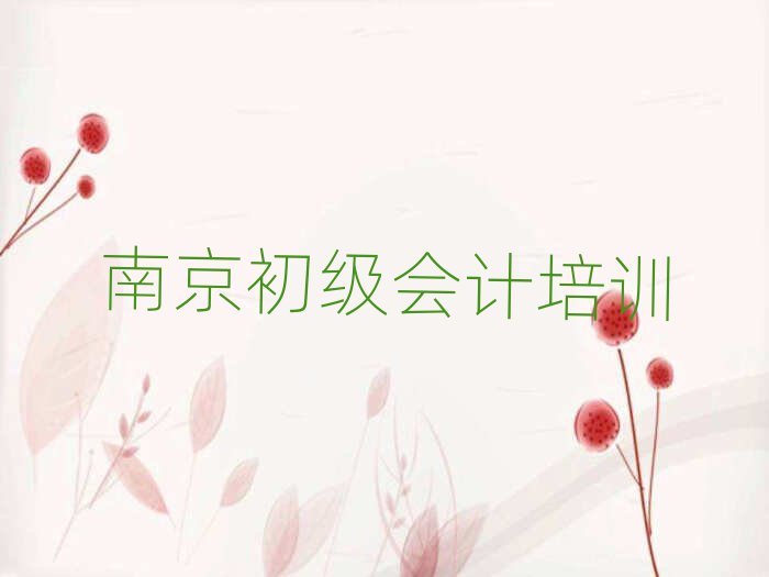 南京高淳区初级会计选择培训班注意事项