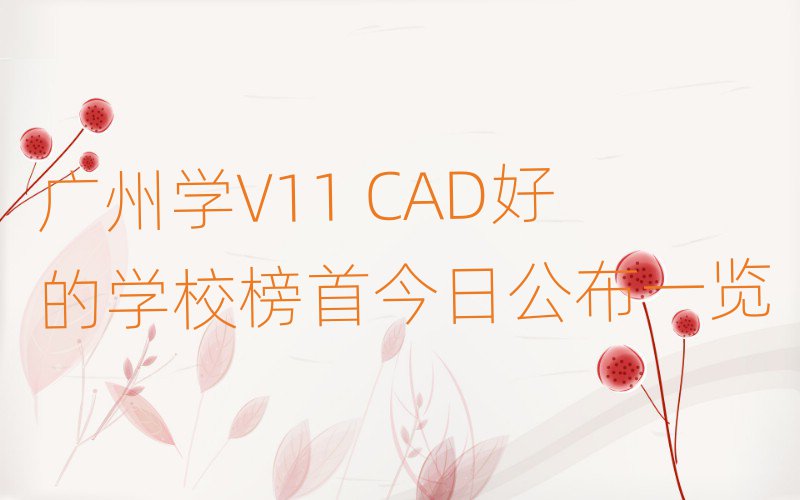 ѧV11 CADõѧУ׽չһ