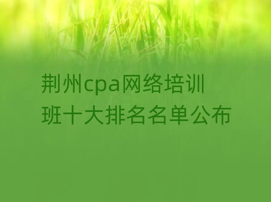 荆州cpa网络培训班十大排名名单公布