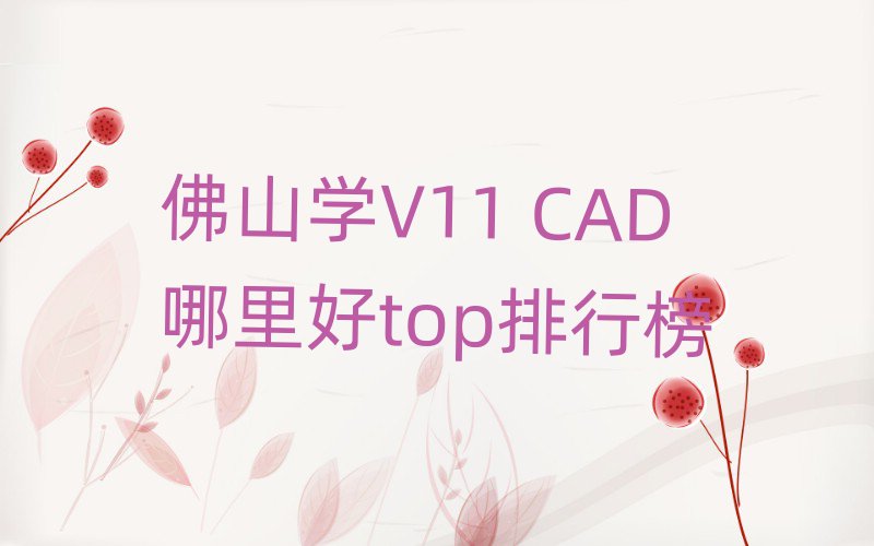 ɽѧV11 CADtopа