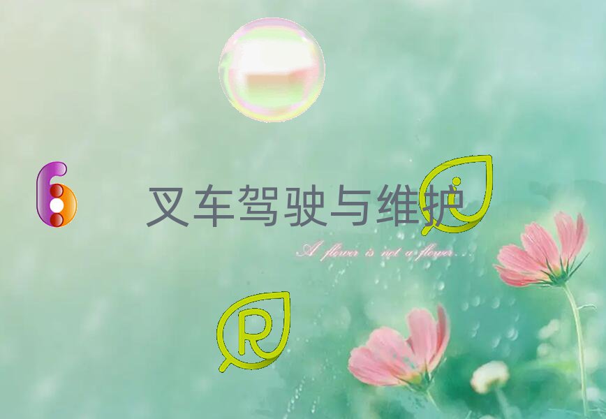 2020ѧ泵ʻ֤Ķ
