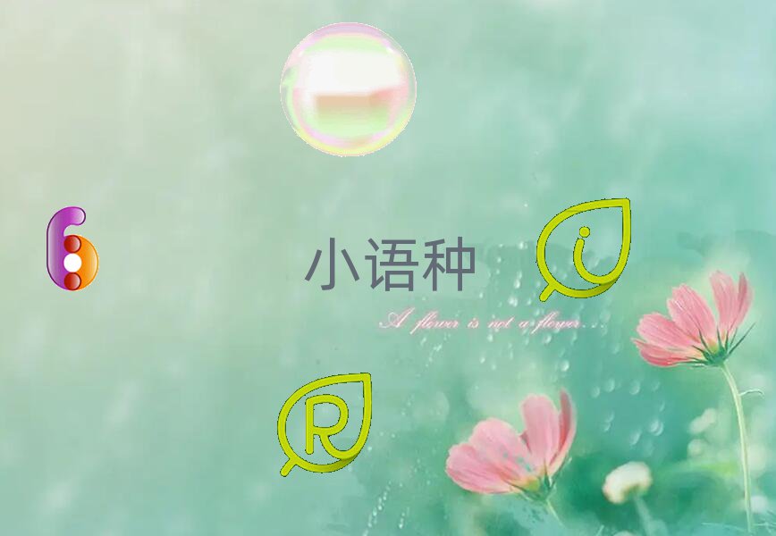 2019곣¥ʸѵ