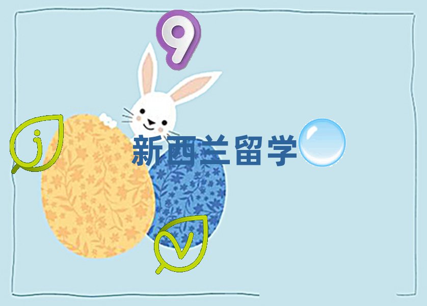 2019걱ѧн