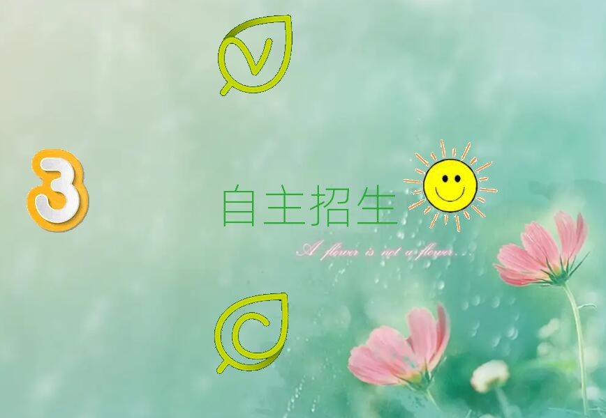 2019ѵ