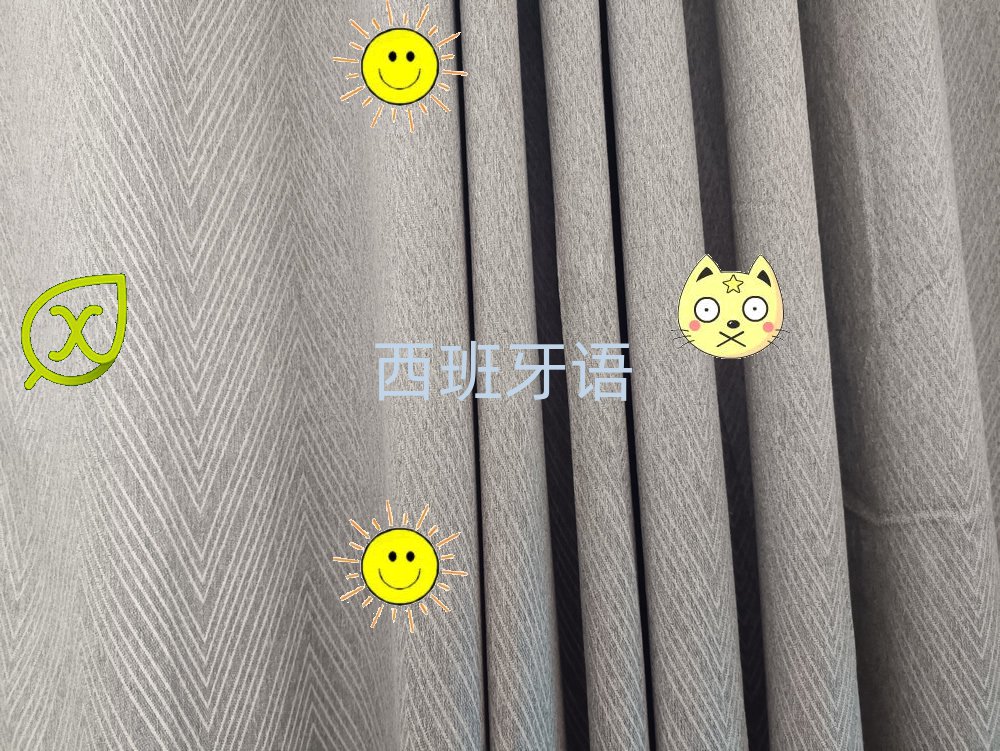 2019ѧŷѵ