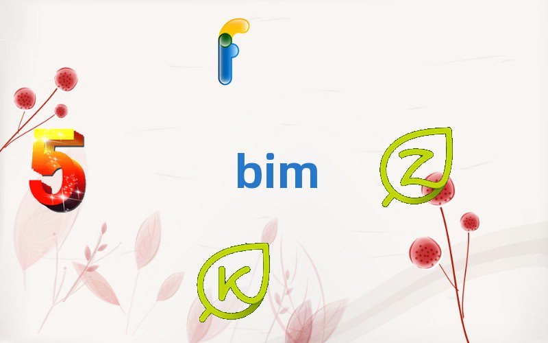 2020ѧBIMʲô