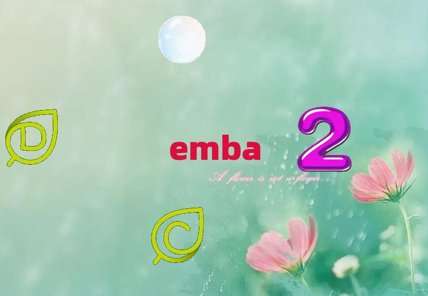 ʦѧEMBAް